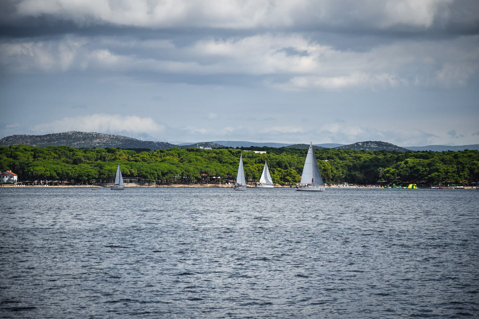 Sailboats along a pine-covered Adriatic shore
